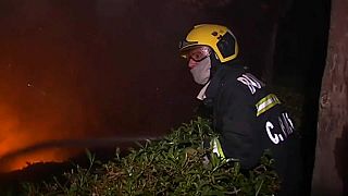Борьба лесными пожарами в Португалии затягивается