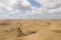 Kína megállítaná a sivatagot