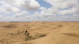 Kína megállítaná a sivatagot