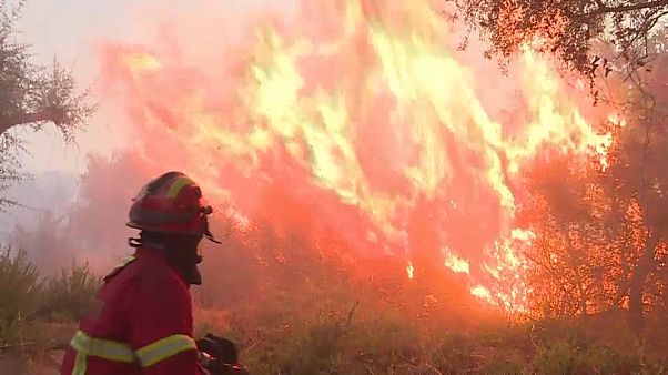 Fogo de Monchique obriga à retirada de cerca de 300 pessoas Fogo de Monchique obriga à retirada de cerca de 300 pessoas