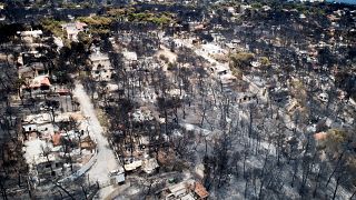 93 οι νεκροί από τη φωτιά- Το νέο σχέδιο για την Πολιτική Προστασία