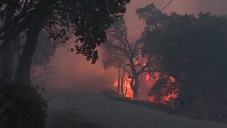 Portuguese wildfire still burning
