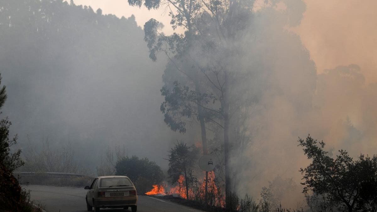 Hetedik napja lángol az erdő Portugáliában 