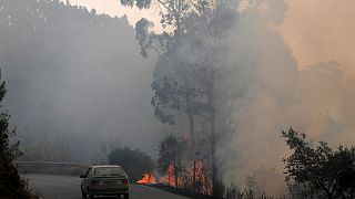 Hetedik napja lángol az erdő Portugáliában