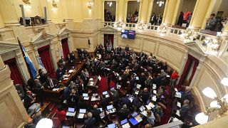 “Hay casos en los que la violación no tiene violencia ": Las polémicas frases del Senado argentino