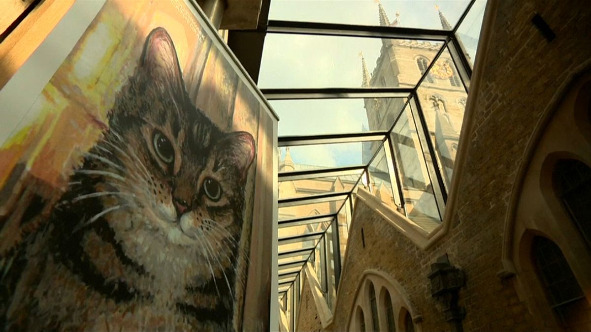 شاهد: كاتدرائية بريطانية تكرم قطة شاردة بنحتٍ يخلد ذكراها