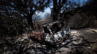 Proteção Civil portuguesa considera fogo “globalmente estabilizado”
