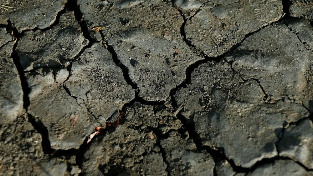 Explained: the causes and impact of Europe's devastating drought