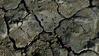 Heat, hardship and horrible harvests: Europe's drought explained