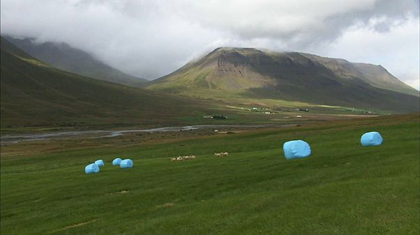 La Svezia alle prese con la siccità La Svezia alle prese con la siccità