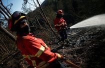 Algarve surveys damage as Portugal's wildfires continue to threaten