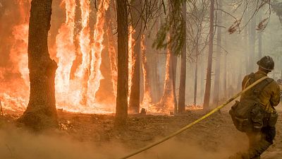 California sigue luchando contra las llamas