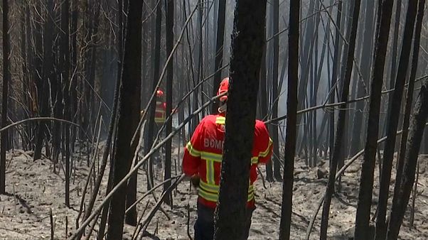 Dominado o maior incêndio na Europa Dominado o maior incêndio na Europa