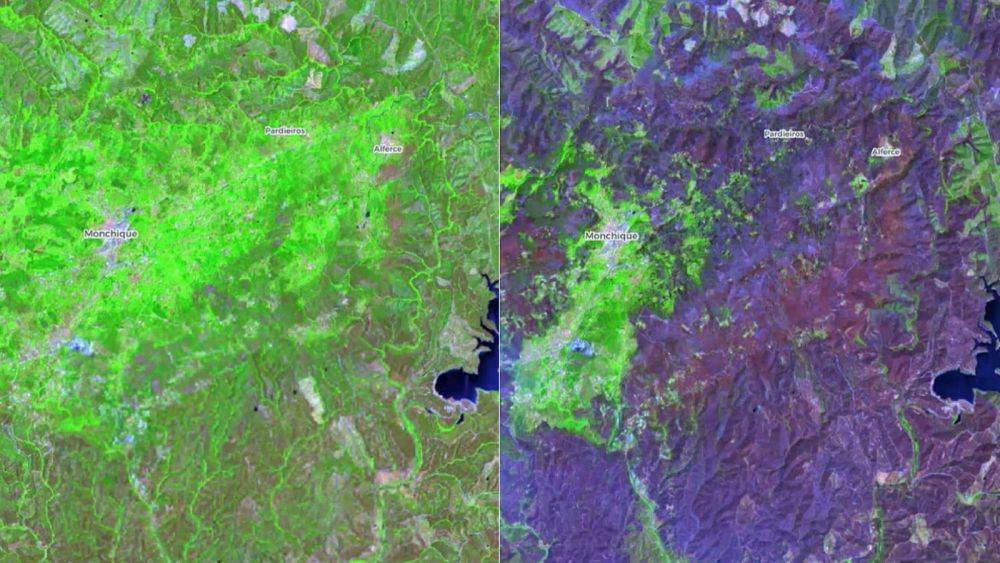 Before-and-after satellite pictures reveal extent of huge Portugal wildfire