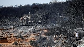 Список жертв пожаров в Греции вырос до 94 человек
