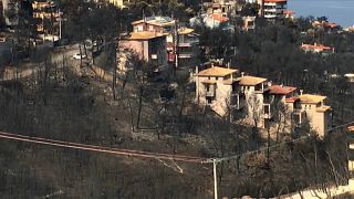 Sobe o número de mortos do incêndio na Grécia