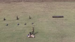 Άσκηση του ΓΕΣ με στρατιωτικά σκυλιά (vid)