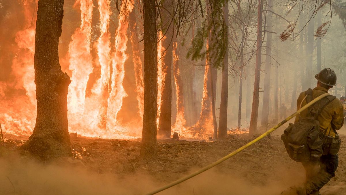 شاهد: صور جويّة لجرافة تسابق "النار المقدسة" في كاليفورنيا 