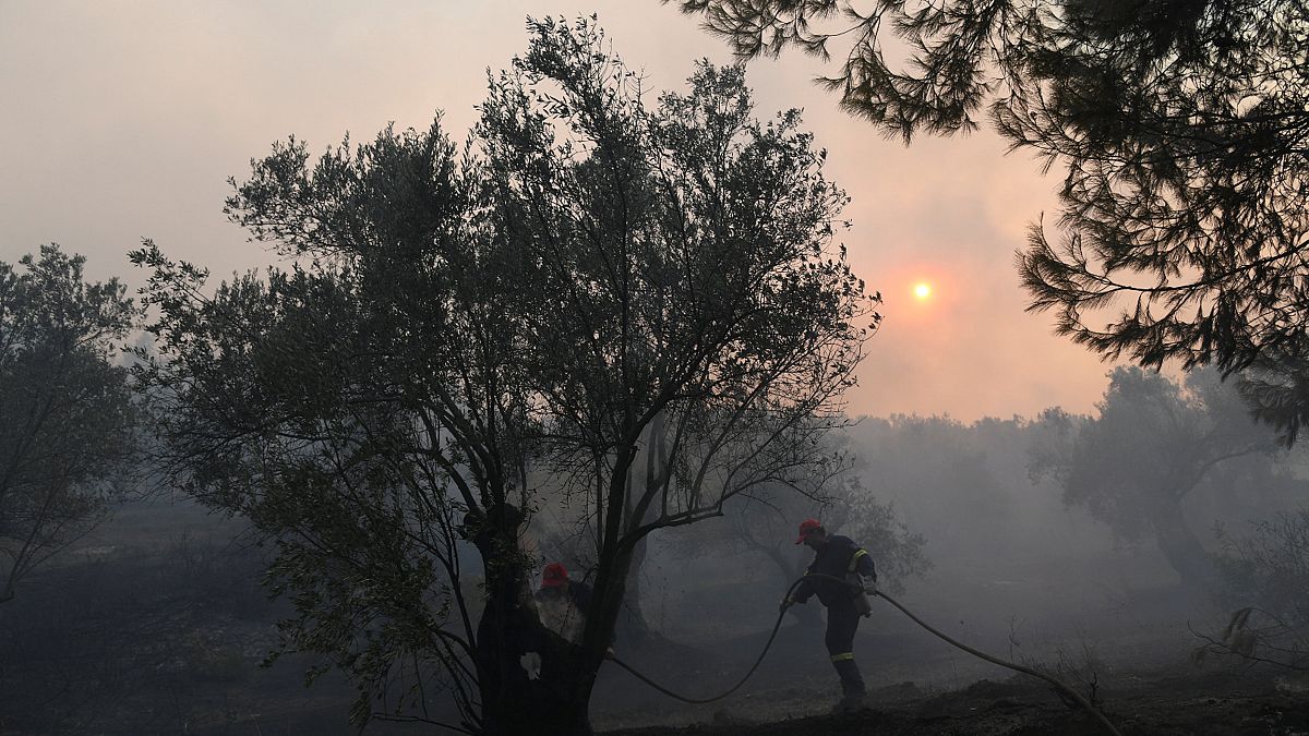 Σε κατάσταση έκτακτης ανάγκης η Εύβοια - Μαίνεται μεγάλη πυρκαγιά