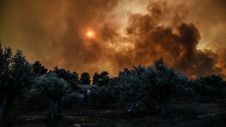 Megint ég az erdő Görögországban