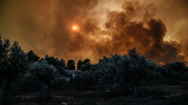 Εύβοια: Αισιοδοξία για την εξέλιξη της πυρκαγιάς Εύβοια: Αισιοδοξία για την εξέλιξη της πυρκαγιάς