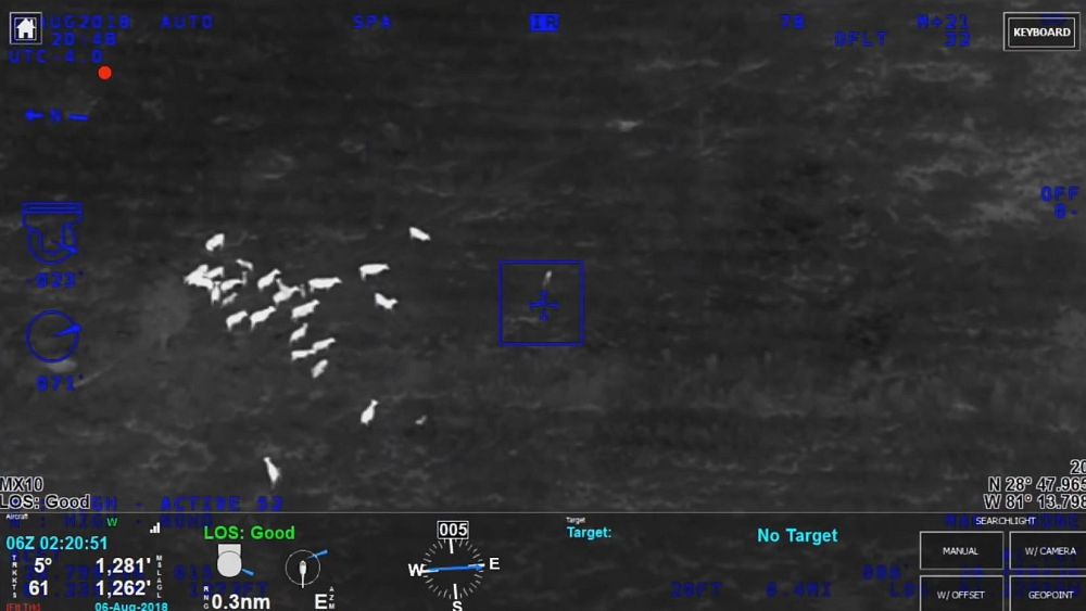 Watch: Herd of cows aid police to catch fleeing suspect