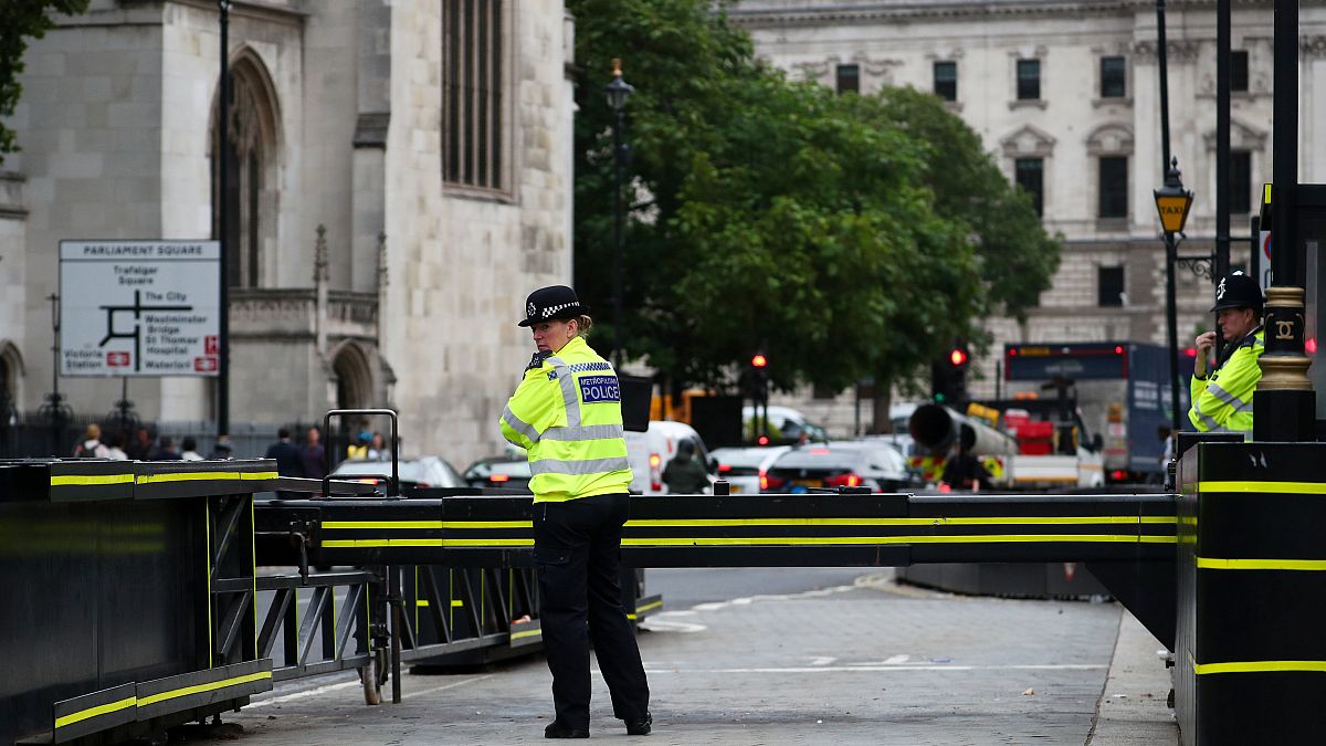 WATCH: UK terror suspect named as calls intensify for a no-car zone around London’s parliament.