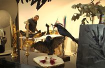 ملاقات با خالق اشیاء لوکس و هنری با پر پرندگان در پاریس