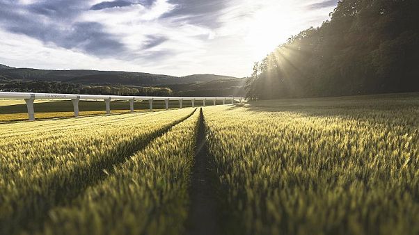 Tren del futuro se instala en el campo francés Tren del futuro se instala en el campo francés