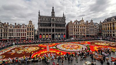 شاهد: سجادة عملاقة من الزهور تزيّن وسط بروكسل