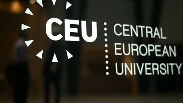 «Социальный гендер» — лженаука? «Социальный гендер» — лженаука?