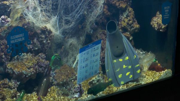 Aquário de plásticos alerta para contaminação dos mares Aquário de plásticos alerta para contaminação dos mares
