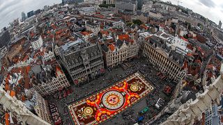 Watch: Brussel's Grand Place square covered with colourful flowers 