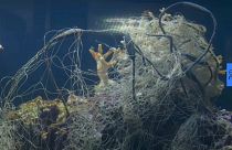 Un zoo invita a los visitantes a ver una pecera llena de basura