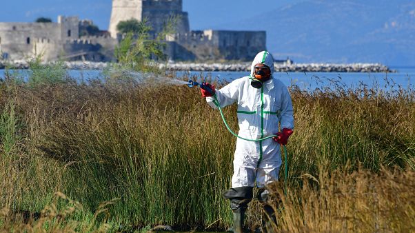 Σε έξαρση ο ιός του Δυτικού Νείλου - Όλα όσα πρέπει να γνωρίζουμε Σε έξαρση ο ιός του Δυτικού Νείλου - Όλα όσα πρέπει να γνωρίζουμε