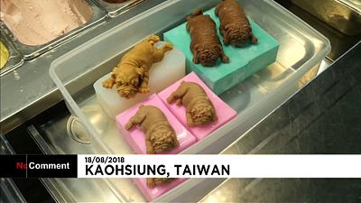 Helados con forma de perrito en Taiwán