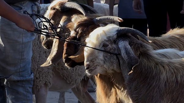 الحصار والفقر يحولان عيد غزة إلى مأساة الحصار والفقر يحولان عيد غزة إلى مأساة