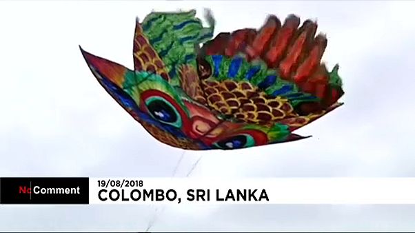 Miles de cometas colorean el cielo de Sri Lanka Miles de cometas colorean el cielo de Sri Lanka