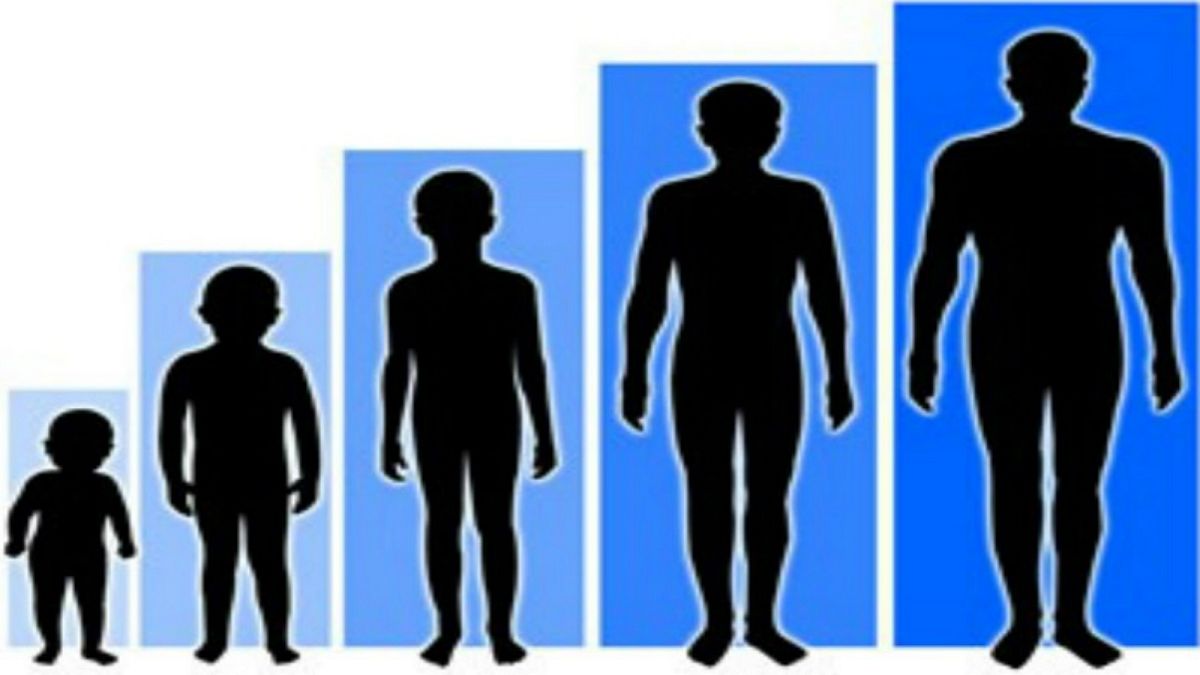 دراسة: البشر أصبحوا أطول قامة وبسرعة قياسية