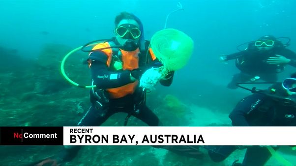 Un buzo español salva a un tiburón durante una clase de buceo Un buzo español salva a un tiburón durante una clase de buceo