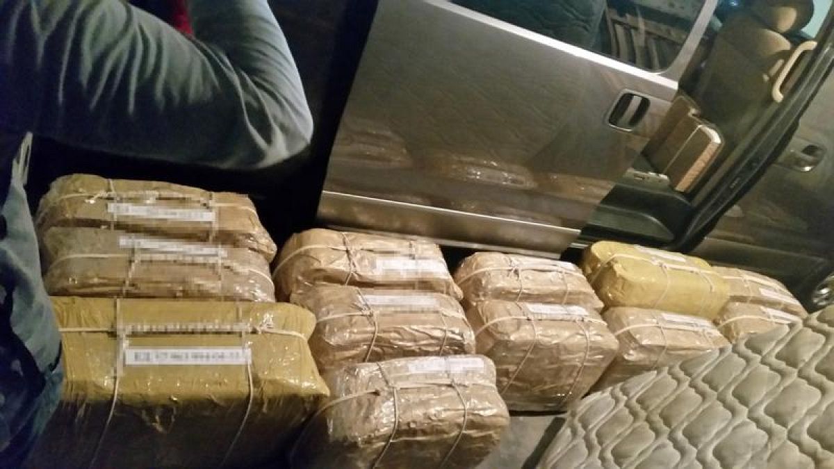 В Аргентине сожгли 400 кг кокаина из российского посольства