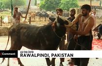 Watch: Muslims in Pakistan celebrate Eid al-Adha