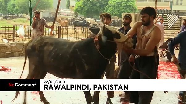 I musulmani del Pakistan festeggiano la festa di Eid al Fitr I musulmani del Pakistan festeggiano la festa di Eid al Fitr