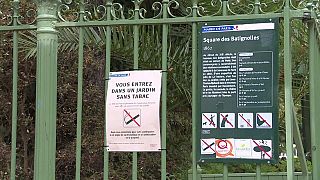 Campanha contra tabaco nos jardins de Paris 