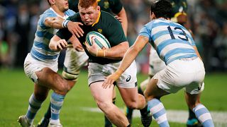 Springboks confident against Argentina for second test