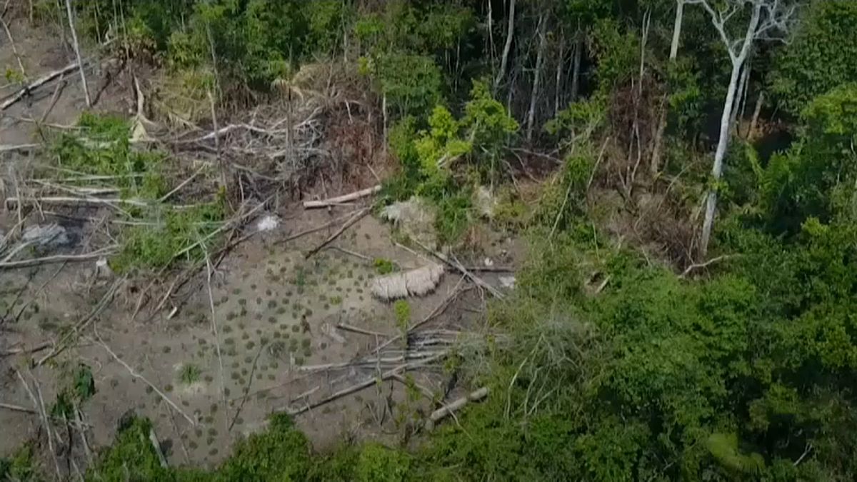An uncontacted tribe in Brazil