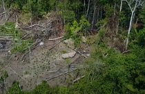 An uncontacted tribe in Brazil