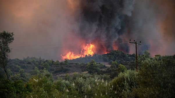 Φωτιές σε Κέρκυρα και Σαλαμίνα Φωτιές σε Κέρκυρα και Σαλαμίνα