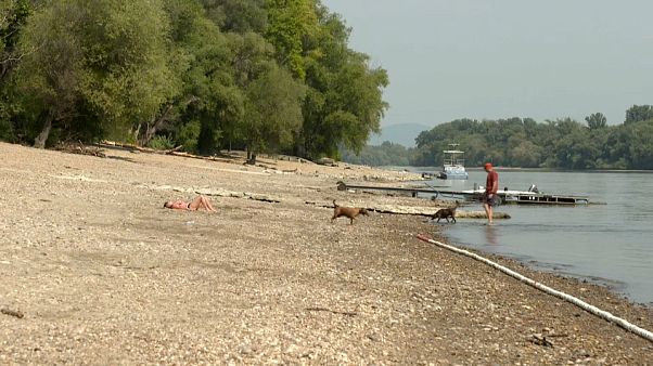 La canicule assèche le Danube La canicule assèche le Danube