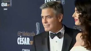 Clooney a legjobban kereső férfi színész